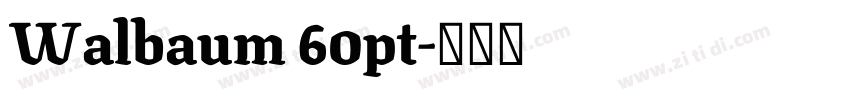 Walbaum 60pt字体转换